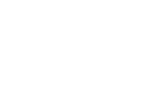 partners-origo